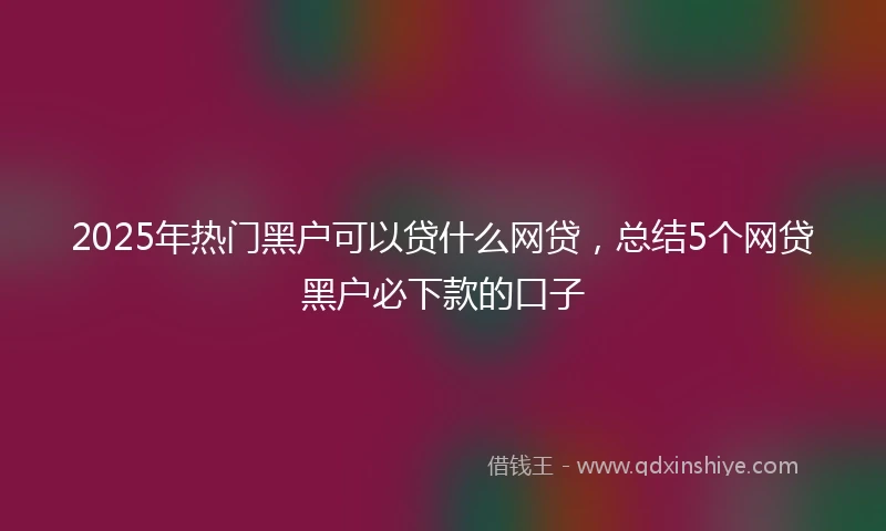 2025年热门黑户可以贷什么网贷，总结5个网贷黑户必下款的口子