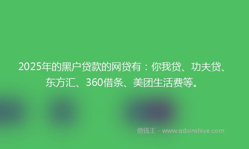 2025年的黑户贷款的网贷有：你我贷、功夫贷、东方汇、360借条、美团生活费等。