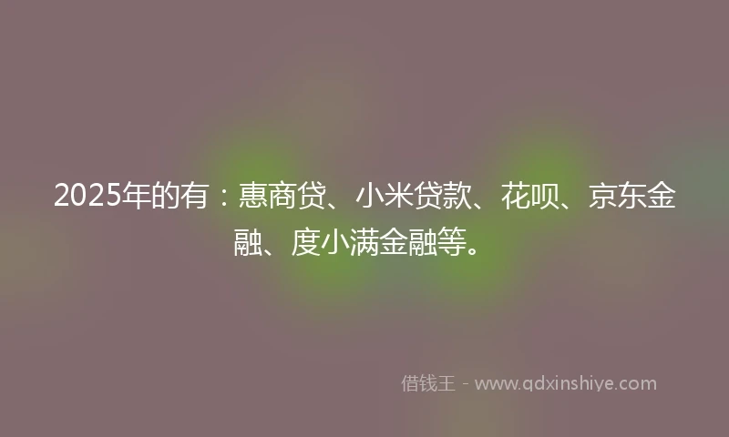2025年的有：惠商贷、小米贷款、花呗、京东金融、度小满金融等。