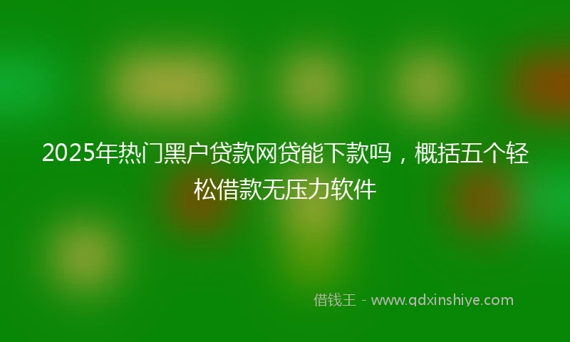 2025年热门黑户贷款网贷能下款吗，概括五个轻松借款无压力软件