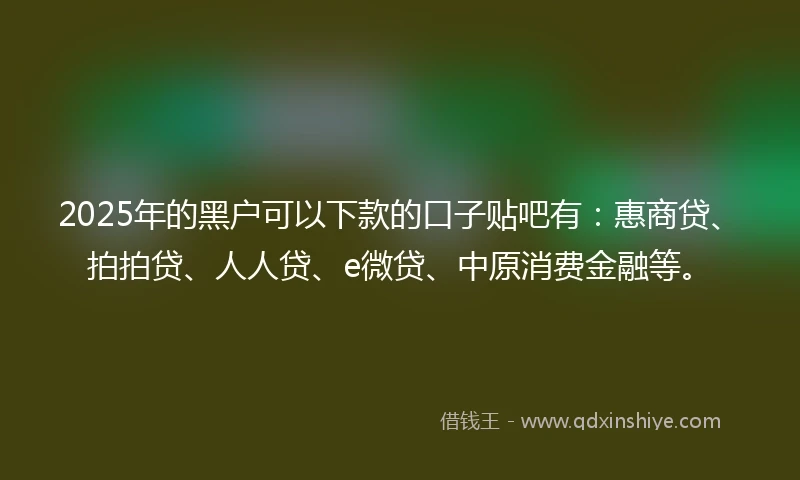2025年的黑户可以下款的口子贴吧有：惠商贷、拍拍贷、人人贷、e微贷、中原消费金融等。
