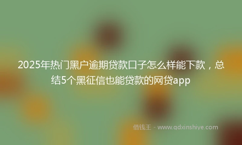 2025年热门黑户逾期贷款口子怎么样能下款，总结5个黑征信也能贷款的网贷app