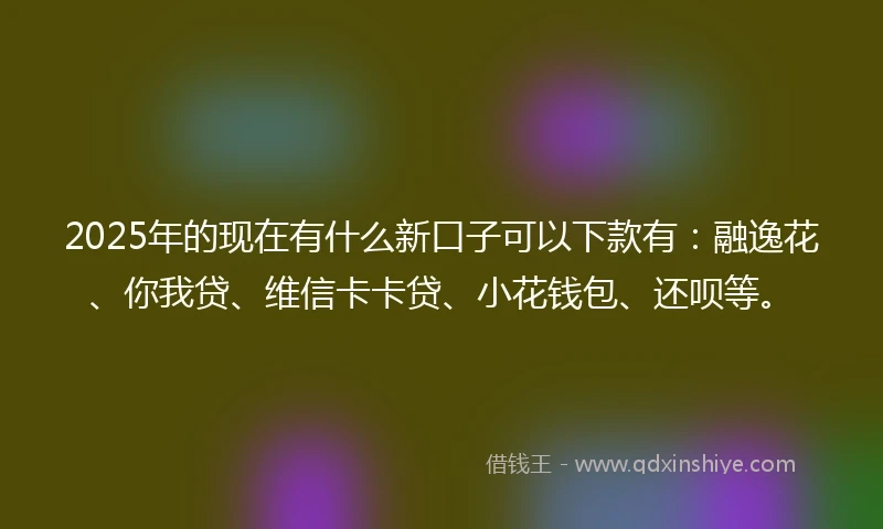 2025年的现在有什么新口子可以下款有：融逸花、你我贷、维信卡卡贷、小花钱包、还呗等。