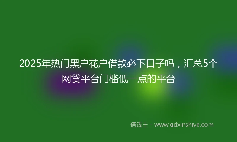 2025年热门黑户花户借款必下口子吗，汇总5个网贷平台门槛低一点的平台