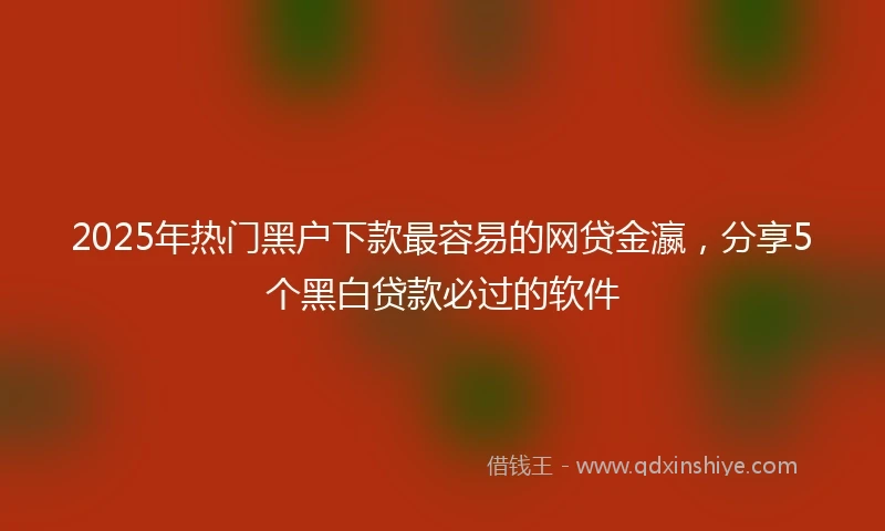 2025年热门黑户下款最容易的网贷金瀛，分享5个黑白贷款必过的软件