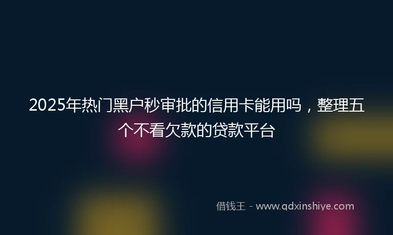2025年热门黑户秒审批的信用卡能用吗，整理五个不看欠款的贷款平台