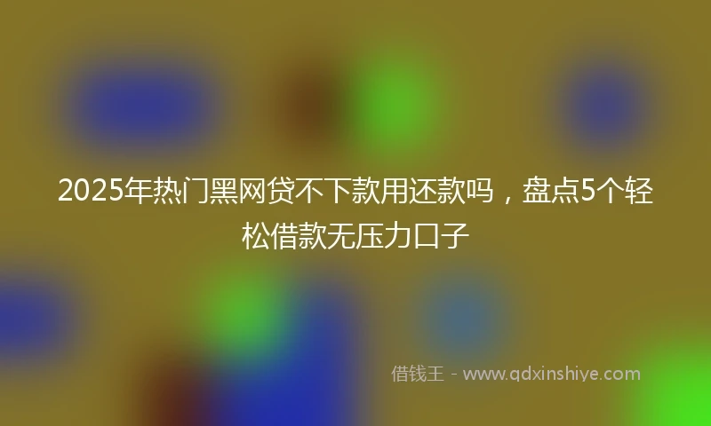 2025年热门黑网贷不下款用还款吗，盘点5个轻松借款无压力口子
