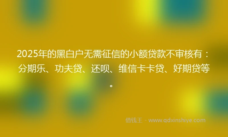 2025年的黑白户无需征信的小额贷款不审核有：分期乐、功夫贷、还呗、维信卡卡贷、好期贷等。
