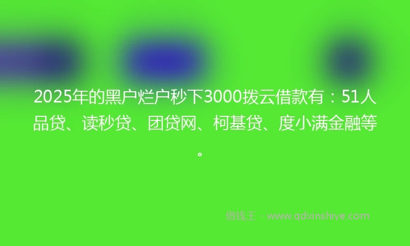 2025年的黑户烂户秒下3000拨云借款有：51人品贷、读秒贷、团贷网、柯基贷、度小满金融等。