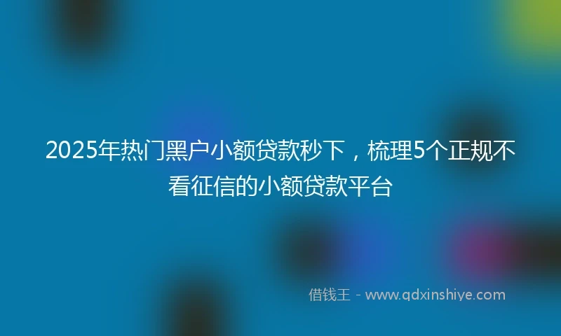 2025年热门黑户小额贷款秒下，梳理5个正规不看征信的小额贷款平台