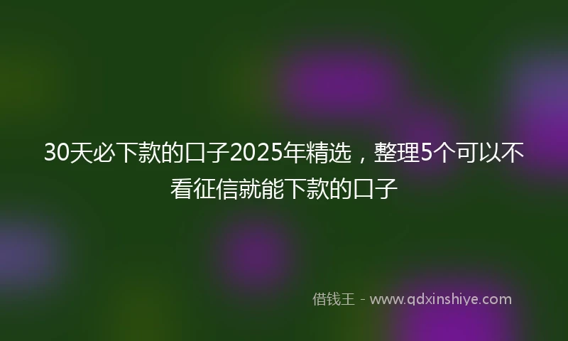 30天必下款的口子2025年精选，整理5个可以不看征信就能下款的口子