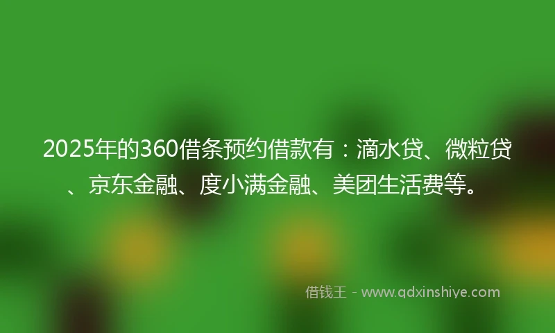 2025年的360借条预约借款有：滴水贷、微粒贷、京东金融、度小满金融、美团生活费等。
