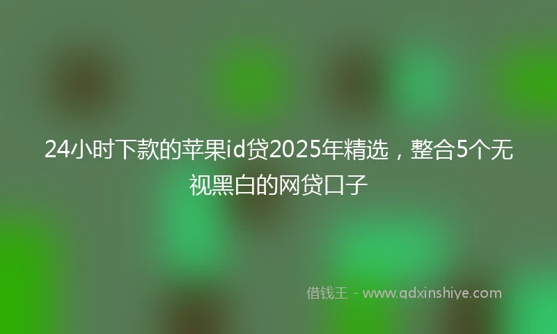 24小时下款的苹果id贷2025年精选，整合5个无视黑白的网贷口子