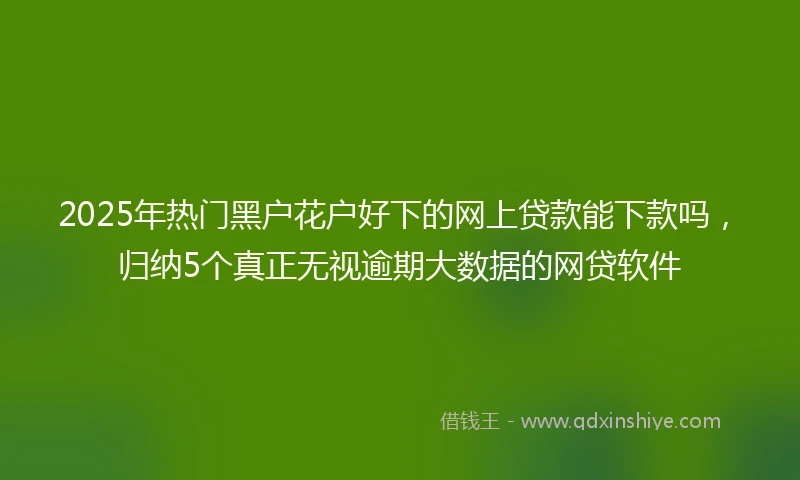 2025年热门黑户花户好下的网上贷款能下款吗，归纳5个真正无视逾期大数据的网贷软件