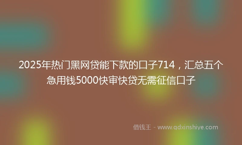 2025年热门黑网贷能下款的口子714，汇总五个急用钱5000快审快贷无需征信口子