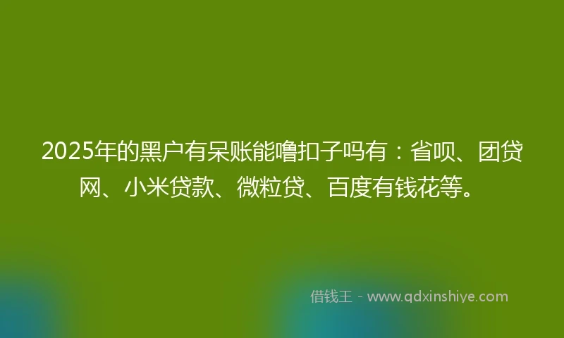 2025年的黑户有呆账能噜扣子吗有：省呗、团贷网、小米贷款、微粒贷、百度有钱花等。