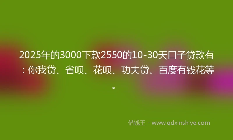 2025年的3000下款2550的10-30天口子贷款有：你我贷、省呗、花呗、功夫贷、百度有钱花等。