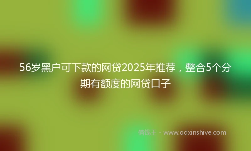 56岁黑户可下款的网贷2025年推荐，整合5个分期有额度的网贷口子