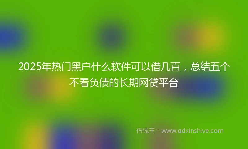 2025年热门黑户什么软件可以借几百，总结五个不看负债的长期网贷平台