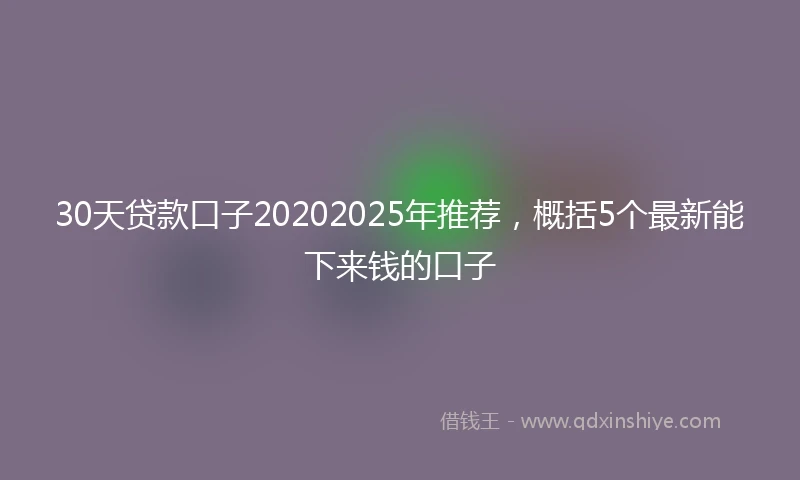 30天贷款口子20202025年推荐，概括5个最新能下来钱的口子
