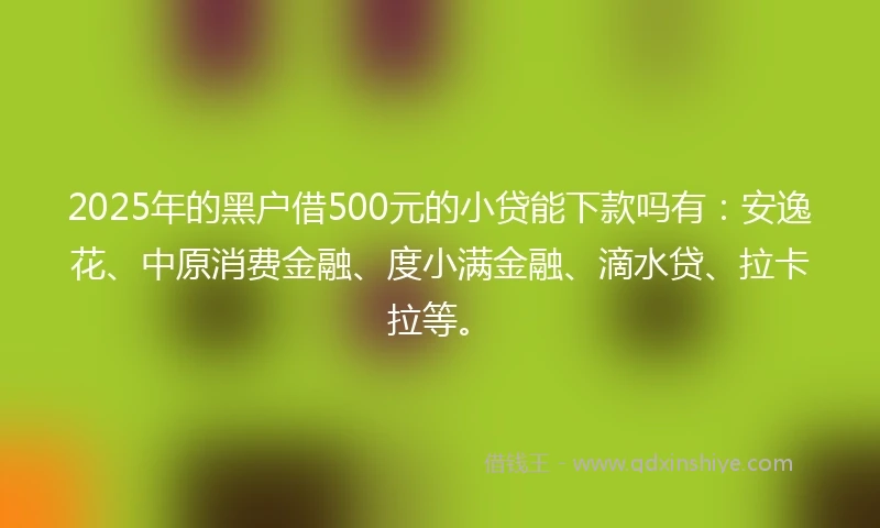 2025年的黑户借500元的小贷能下款吗有：安逸花、中原消费金融、度小满金融、滴水贷、拉卡拉等。