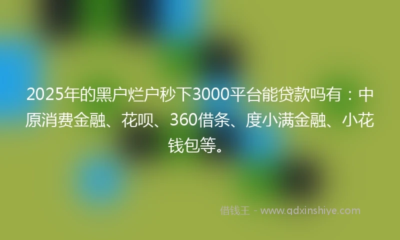 2025年的黑户烂户秒下3000平台能贷款吗有：中原消费金融、花呗、360借条、度小满金融、小花钱包等。