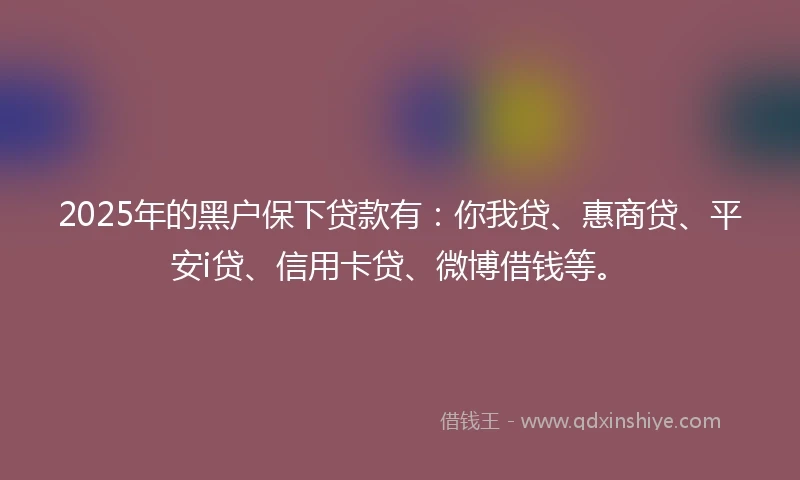 2025年的黑户保下贷款有：你我贷、惠商贷、平安i贷、信用卡贷、微博借钱等。