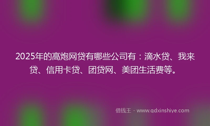 2025年的高炮网贷有哪些公司有：滴水贷、我来贷、信用卡贷、团贷网、美团生活费等。