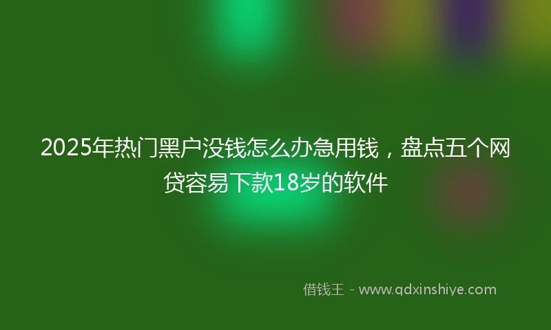 2025年热门黑户没钱怎么办急用钱，盘点五个网贷容易下款18岁的软件