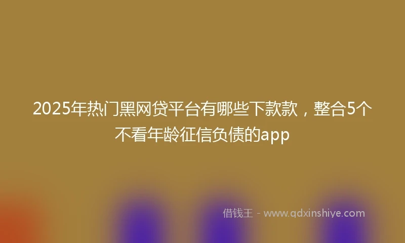 2025年热门黑网贷平台有哪些下款款，整合5个不看年龄征信负债的app