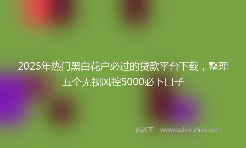 2025年热门黑白花户必过的贷款平台下载，整理五个无视风控5000必下口子