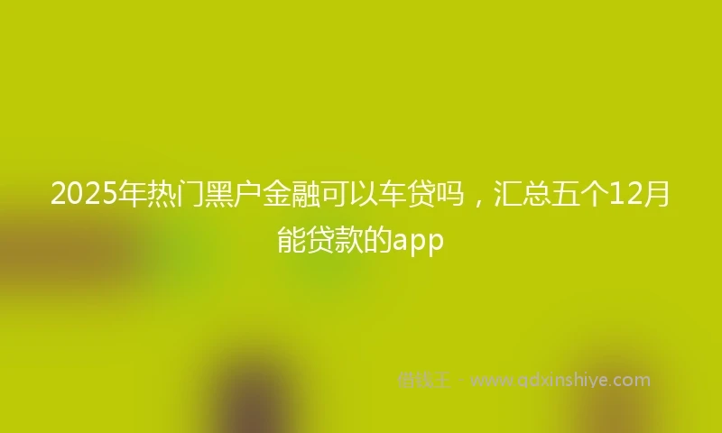 2025年热门黑户金融可以车贷吗，汇总五个12月能贷款的app