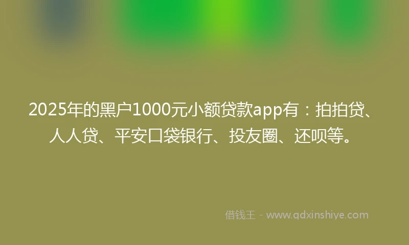 2025年的黑户1000元小额贷款app有:拍拍贷、人人贷、平安口袋银行、投友圈、还呗等。