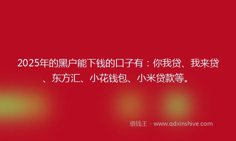 2025年的黑户能下钱的口子有：你我贷、我来贷、东方汇、小花钱包、小米贷款等。