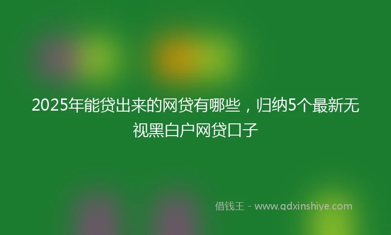 2025年能贷出来的网贷有哪些，归纳5个最新无视黑白户网贷口子
