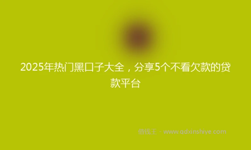 2025年热门黑口子大全，分享5个不看欠款的贷款平台