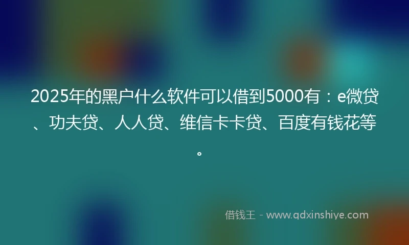 2025年的黑户什么软件可以借到5000有：e微贷、功夫贷、人人贷、维信卡卡贷、百度有钱花等。