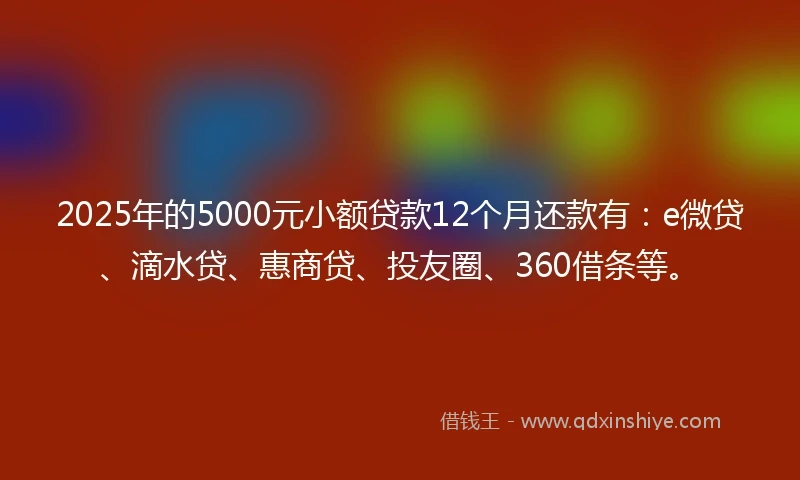 2025年的5000元小额贷款12个月还款有：e微贷、滴水贷、惠商贷、投友圈、360借条等。