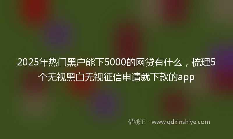 2025年热门黑户能下5000的网贷有什么，梳理5个无视黑白无视征信申请就下款的app