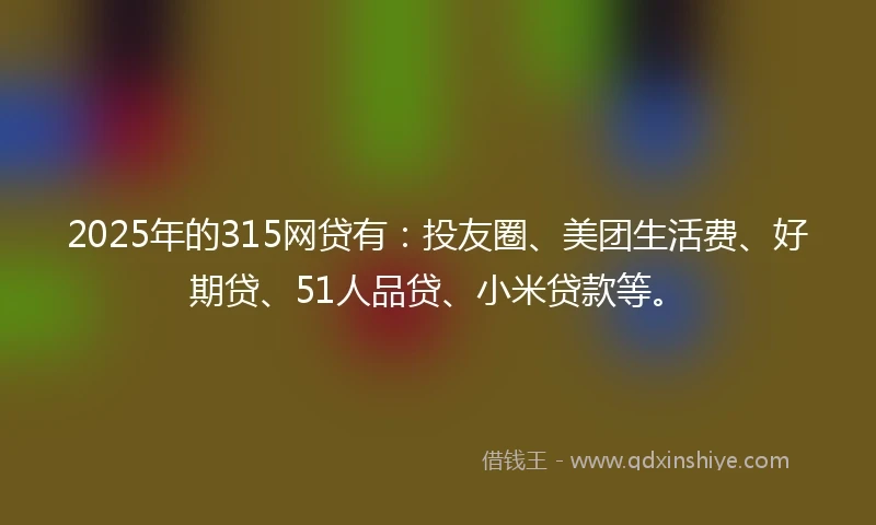 2025年的315网贷有：投友圈、美团生活费、好期贷、51人品贷、小米贷款等。