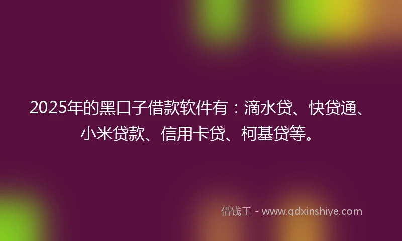 2025年的黑口子借款软件有:滴水贷、快贷通、小米贷款、信用卡贷、柯基贷等。