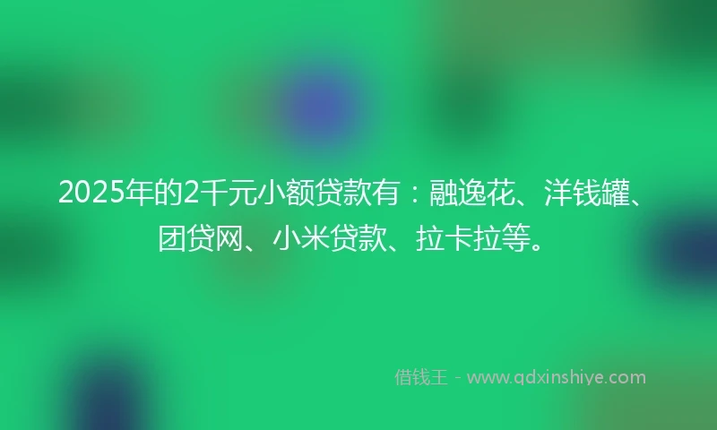 2025年的2千元小额贷款有：融逸花、洋钱罐、团贷网、小米贷款、拉卡拉等。