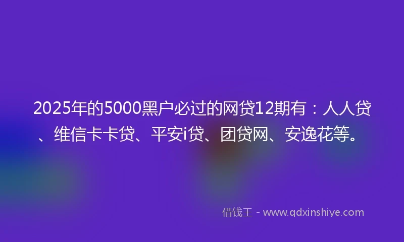2025年的5000黑户必过的网贷12期有：人人贷、维信卡卡贷、平安i贷、团贷网、安逸花等。
