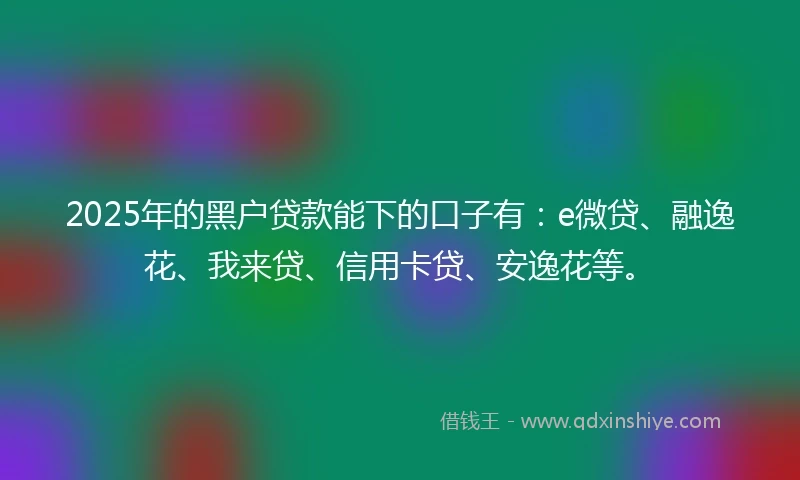 2025年的黑户贷款能下的口子有：e微贷、融逸花、我来贷、信用卡贷、安逸花等。