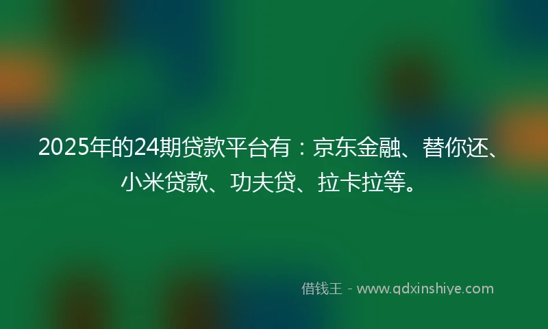 2025年的24期贷款平台有：京东金融、替你还、小米贷款、功夫贷、拉卡拉等。