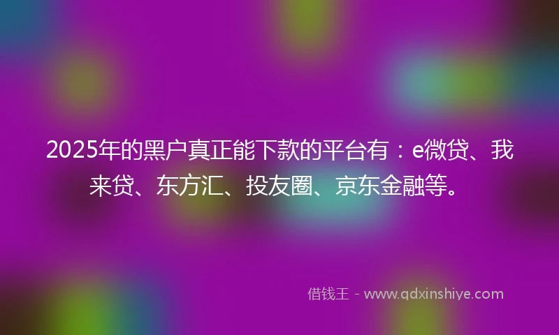 2025年的黑户真正能下款的平台有：e微贷、我来贷、东方汇、投友圈、京东金融等。