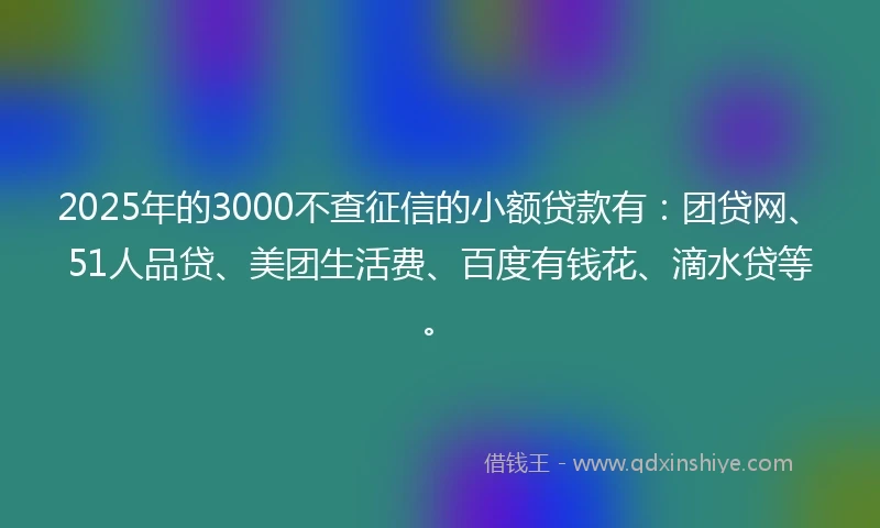 2025年的3000不查征信的小额贷款有：团贷网、51人品贷、美团生活费、百度有钱花、滴水贷等。
