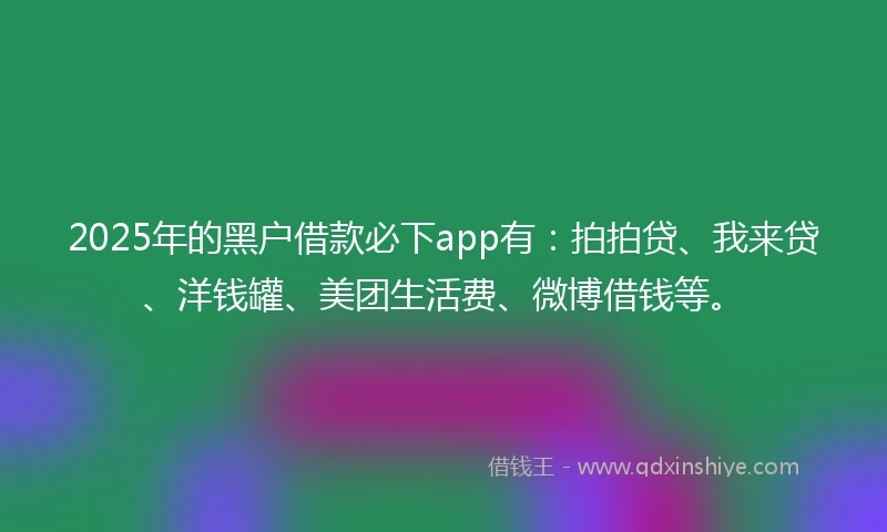 2025年的黑户借款必下app有：拍拍贷、我来贷、洋钱罐、美团生活费、微博借钱等。