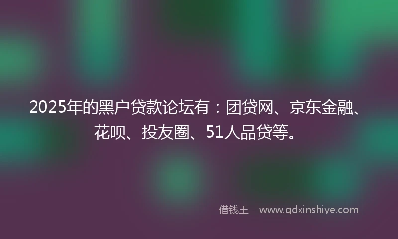 2025年的黑户贷款论坛有：团贷网、京东金融、花呗、投友圈、51人品贷等。