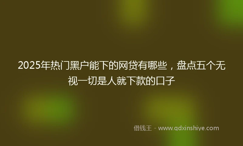 2025年热门黑户能下的网贷有哪些，盘点五个无视一切是人就下款的口子